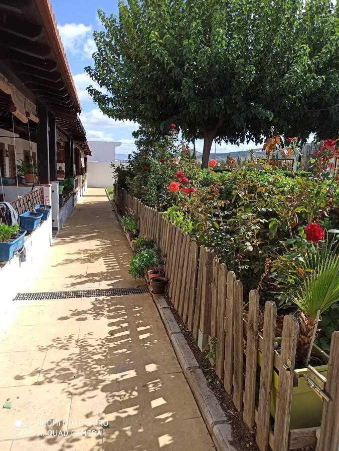 Casa Rural Alamillo Luque Εξωτερικό φωτογραφία