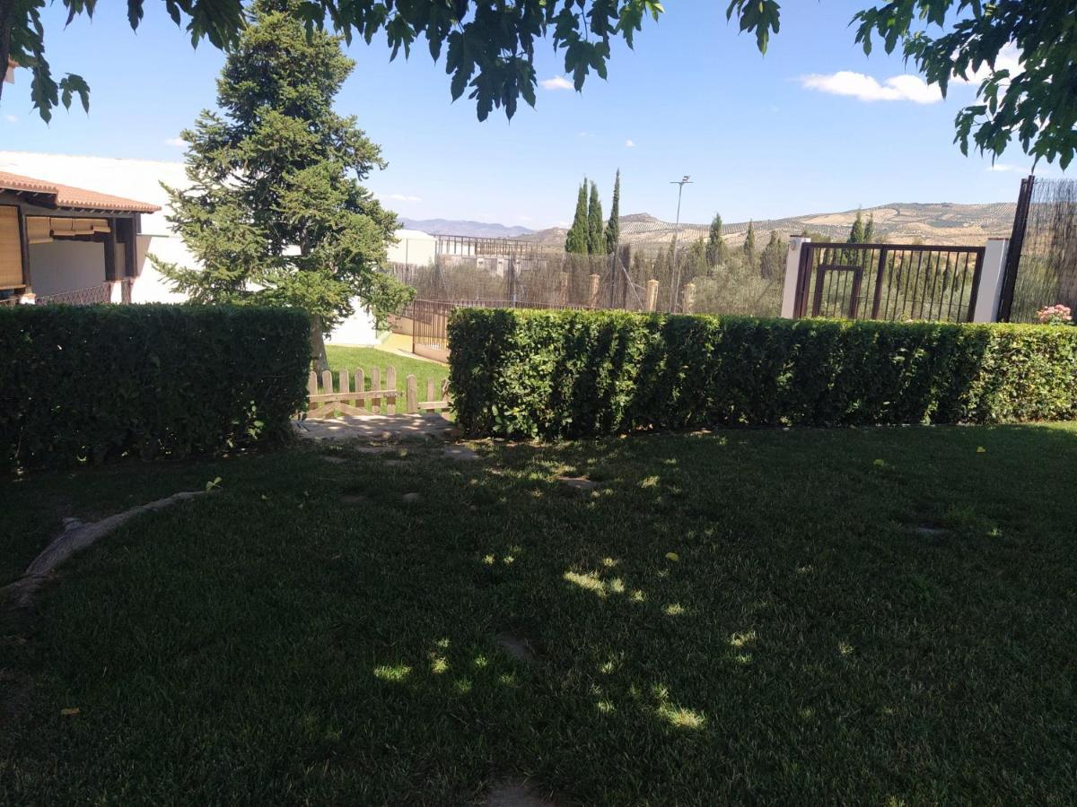 Casa Rural Alamillo Luque Εξωτερικό φωτογραφία