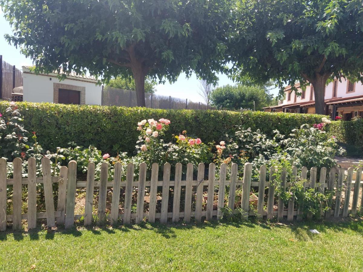 Casa Rural Alamillo Luque Εξωτερικό φωτογραφία