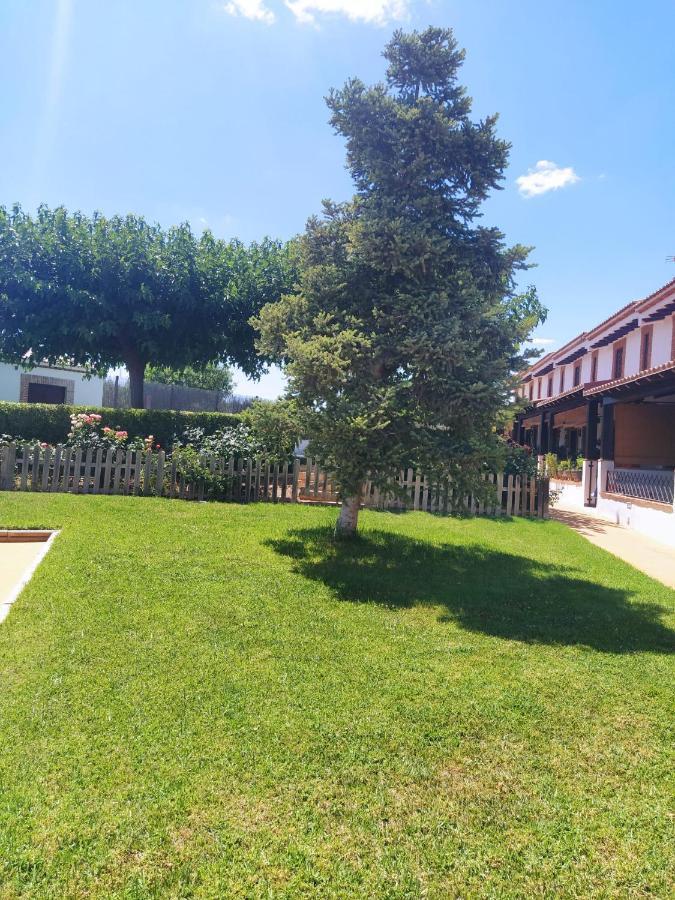 Casa Rural Alamillo Luque Εξωτερικό φωτογραφία