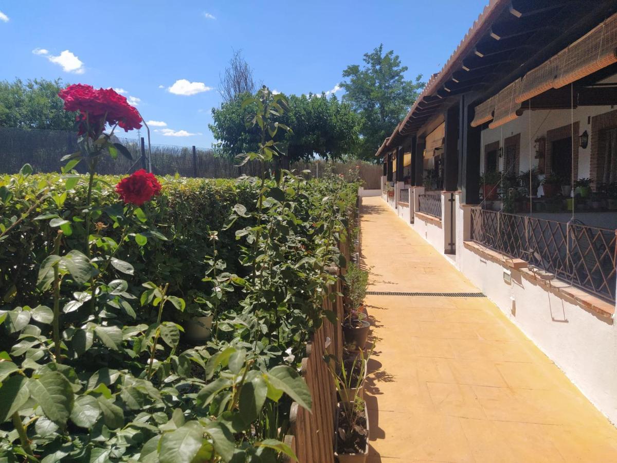 Casa Rural Alamillo Luque Εξωτερικό φωτογραφία